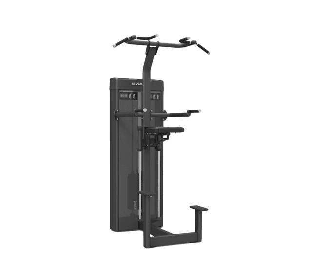 Evolve Prime Series Selectorized Viktassisterad Chin / Dip (PR-214)