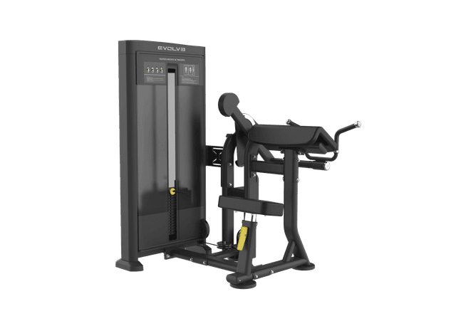Evolve Econ V2 Series Selectorized sittande biceps / triceps (EC-229)