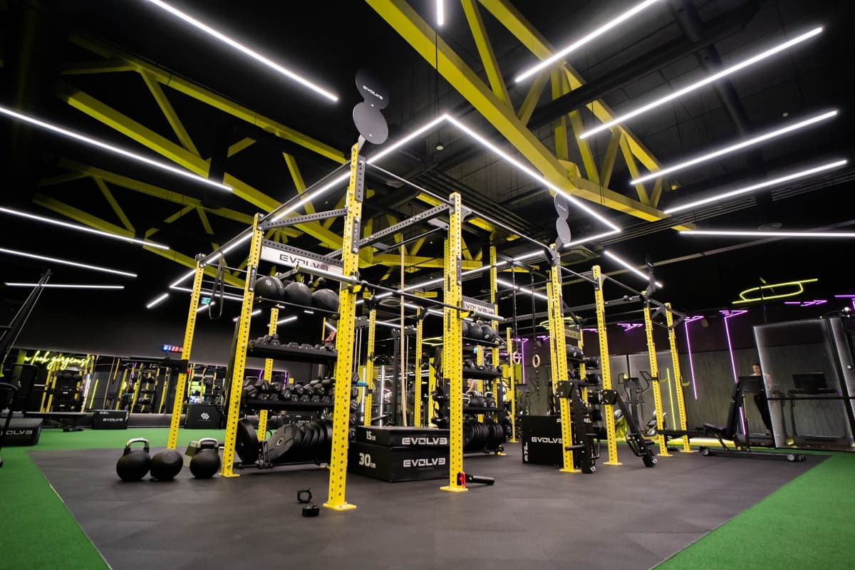 Lemon Gym, Vilnius, Žalgiris