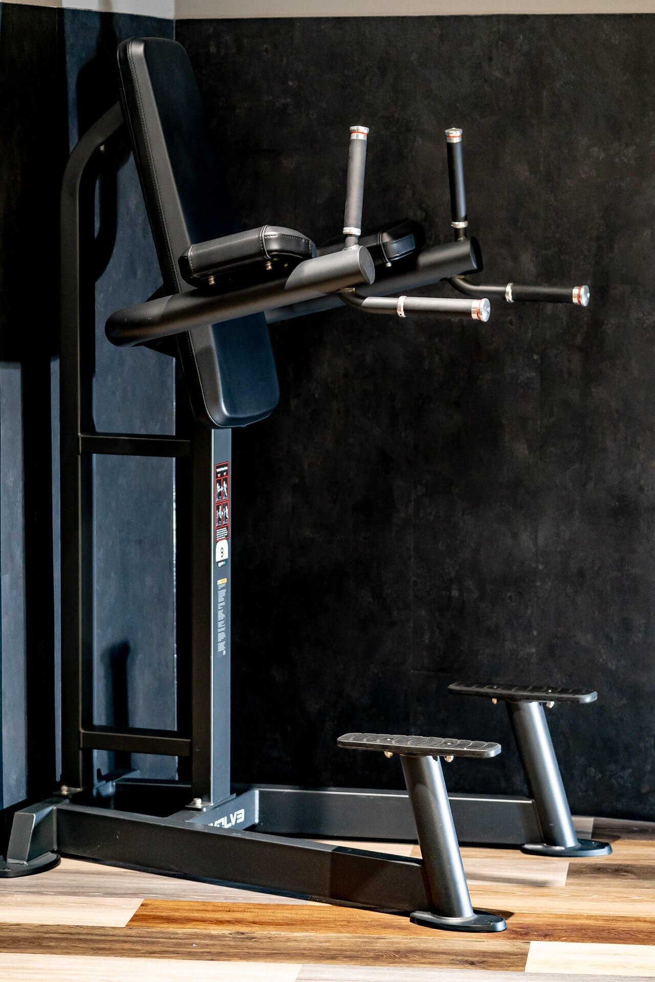 Curated visual reference: Evolve Prime Series Dip Station Photo Inspiration