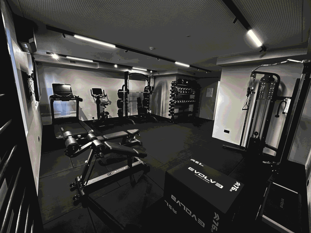 Apartament/Hotel gym