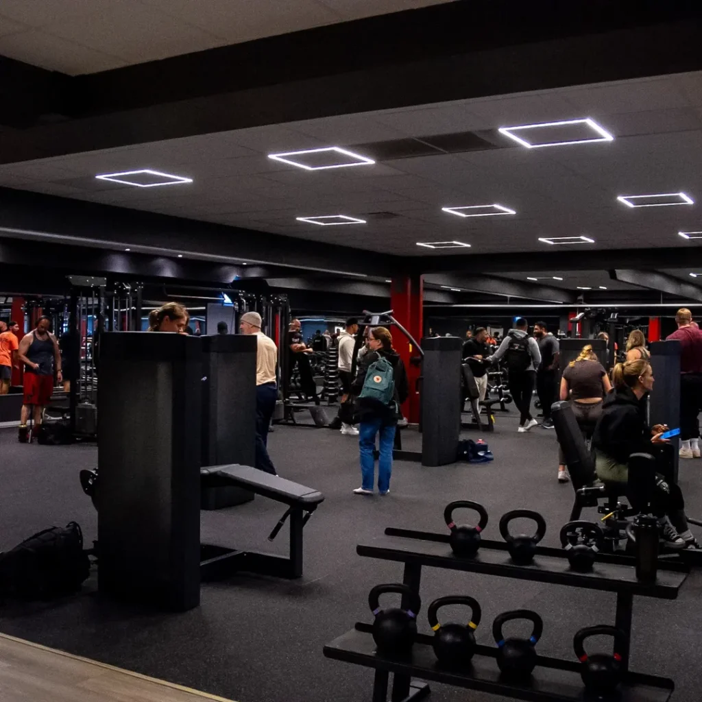 “Robbans grymma gym” Sweden