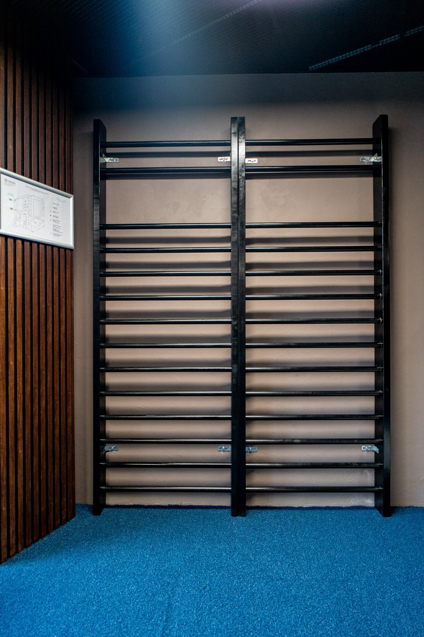 Evolve Wall Bars (GW-25B)