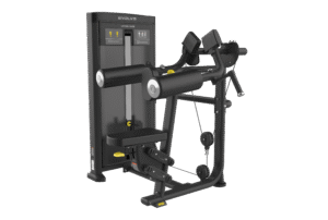 Evolve Econ V2 Series Selectorized Lateral Raise (EC-223)